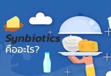 Synbiotic คืออะไร? มีประโยชน์อย่างไร? : I2
