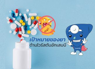 เป้าหมายใหม่ของยาต้านไวรัสตับอักเสบบี : B2.2
