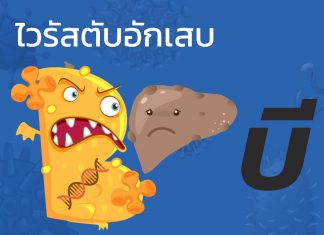 ไวรัสตับอีกเสบ “บี” : B1