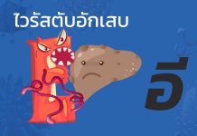 ไวรัสตับอักเสบ “อี” : E1