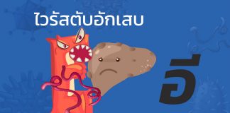 ไวรัสตับอักเสบ “อี” : E1