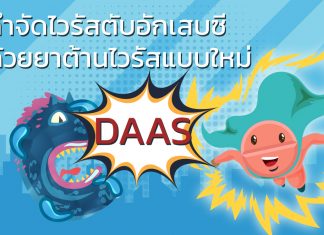 วิธีกำจัดการติดเชื้อไวรัสตับอักเสบซีโดยการรักษาด้วยยาต้านไวรัสแบบใหม่