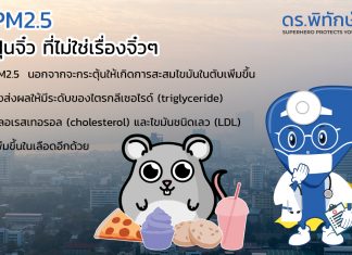 PM2.5 ฝุ่นจิ๋วที่ไม่ใช่เรื่องจิ๋วๆ