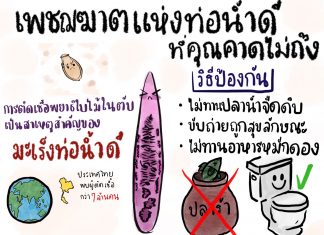 เพชฌฆาตท่อน้ำดีที่คุณคาดไม่ถึง!