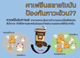 คาเฟอีนสลายไขมัน ป้องกันภาวะอ้วน??