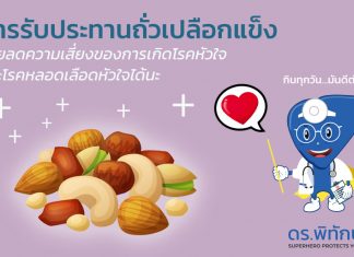 การรับประทานถั่วเปลือกแข็ง ช่วยลดความเสี่ยงของการเกิดโรคหัวใจและโรคหลอดเลือดหัวใจได้นะ