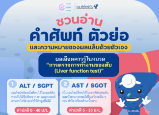 คำศัพท์ “การตรวจการทำงานของตับ” ที่ควรรู้