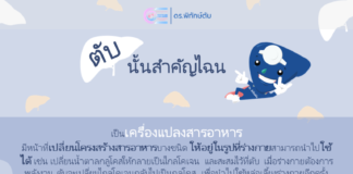 ตับนั้นสำคัญไฉน