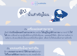 ตับนั้นสำคัญไฉน